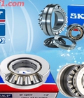 Gối đỡ vòng bi skf chính hãng tại TP HCM.