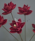 Hình ảnh: Bộ 3 cành Nguyên Phụ liệu phụ kiện cắm hoa trang trí sofa
