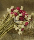 Hình ảnh: Bó Hoa Nguyên Phụ liệu phụ kiện cắm hoa khô trang trí