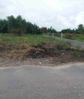 Hình ảnh: Đất khu đô thị Cảng quốc tế 3000m ngang gần 40m bán 1,9tr/m2 SHR