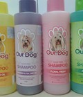 Hình ảnh: Dầu tắm OurDog cho chó mèo