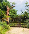 Hình ảnh: Bán lẻ 2 nền 500m2 Nhà Bè 3 tỷ, bán sỉ 2 lô 5.5 tỷ LH chính chủ