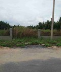 Hình ảnh: Đất Nhà Bè 1200m2 ngang 20m, đường XH, Gần Ubnd Hiệp Phước bán 2.28 tỷ