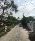 Hình ảnh: 300m2 thổ cư Ngang 17m, Nguyễn Văn Tạo Nhà Bè bán 2.5 tỷ