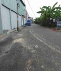 Hình ảnh: 700m2 Đất TCLN Đường XH nhà bè bán 900 triệu