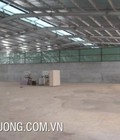 Hình ảnh: Cho thuê gấp nhà xưởng tại Thanh Hà Hà Đông Hà Nội DT 815m2 giá tốt