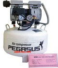 Hình ảnh: Máy nén khí giảm âm PEGASUS TM-OF550-40L