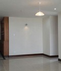 Hình ảnh: Cho thuê căn hộ Hồng Lĩnh H.Bình Chánh, diện tích 74m, 2 phòng ngủ, 2wc , có 1 số nội thất, nhận nhà ngay, giá 9 tr/th.