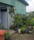 Hình ảnh: Cần bán nhà và xưởng tại Xã Tân Hiệp, Huyện Hóc Môn