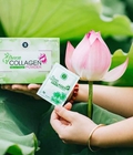 Hình ảnh: Diệp Lục Collagen Chính hãng