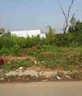 Hình ảnh: Đất mặt đường Long Thới Nhơn Đức Gần 500m2 Ngang 20m bán 3.5 tỷ