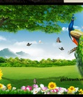 Hình ảnh: tranh chim công 3d