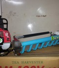 Hình ảnh: Mua máy hái chè sử dụng cho gia đình nên mua loại nào chất lượng tốt giá rẻ nhất