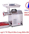 Hình ảnh: Máy xay thịt TC22
