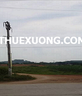 Hình ảnh: Chuyển nhượng đất công nghiệp tại Thanh Hóa, thị xã Bỉm Sơn DT 6950m2 giá 4 tỷ tổng DT