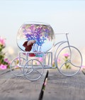 Hình ảnh: Bể cá mini xe đạp