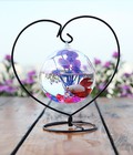 Hình ảnh: Bể cá mini Trái Tim