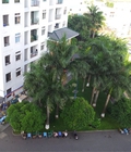 Hình ảnh: Cần bán căn hộ 312 Lạc Long Quân Q11.67m2,2pn.nội thất cơ bản,có sổ hồng giá 1.7 tỷ