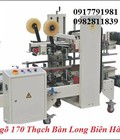 Hình ảnh: Máy dán thùng carton tự động
