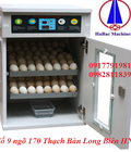 Hình ảnh: Máy ấp trứng gà vịt