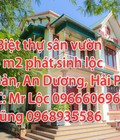 Hình ảnh: Bán biệt thự sân vườn,Đại Bản, An Dương, Hải Phòng, An sinh tốt