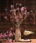 Hình ảnh: Bộ nụ hoa khô hồng phấn - FHB06