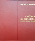 Hình ảnh: Đào tạo nghiệp vụ sư phạm nghề tại bình dương