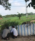 Hình ảnh: GoldenLand Đông Dư Vùng đất vàng Đông Dư