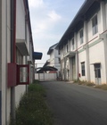 Hình ảnh: Bán hoặc cho thuê nhà xưởng KCN Đức Hòa 1, Long An diện tích 7.500m2.