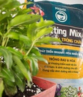Hình ảnh: Đất sạch trồng chậu Namix 20 dm3