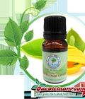 Hình ảnh: Tinh dầu Ngọc Lan Tây