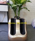 Hình ảnh: Máy massage chân Hàn Quốc mẫu mới rung, day ấn huyệt mát xa nhiệt cao cấp, máy mát xa chân Hàn Quốc