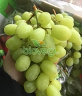 Hình ảnh: Nho xanh không hạt Nam Phi hoa quả nhập khẩu sạch Biovegi