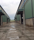 Hình ảnh: Cho thuê nhà xưởng ở Tân Cảng, Long Bình diện tích 6.500m2.