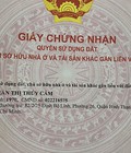 Hình ảnh: Chính chủ cần bán gấp đất thổ cư tại, Phường Long Trường, Quận 9, TP.Hồ Chí Minh