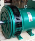 Hình ảnh: Chuyên phân phối các loại đầu phát điện Onan