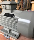 Hình ảnh: Động cơ motor công nghệ Úc nhập khẩu mới 100%