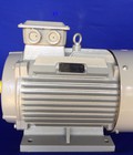 Hình ảnh: Động cơ Motor điện nhập khẩu uy tín chất lượng