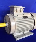 Hình ảnh: Động cơ điện 1 pha giá sỉ
