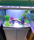 Hình ảnh: Bể cá Q580 + Chân tủ