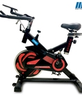 Hình ảnh: Xe đạp tập thể dục YB 7800