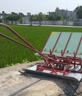 Hình ảnh: Chọn mua máy cấy lúa mini đẩy tay mạ sân loại nào tốt giá rẻ nhất tại Hà Nội