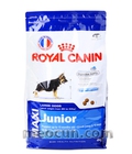 Hình ảnh: Thức ăn cho chó con giống lớn Royal canin maxi jonior