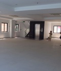 Hình ảnh: Cho thuê nhà 6Tx200m2 phú diễn, bắc từ liêm.