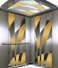 Hình ảnh: Tư vấn thang máy gia đình - thang máy chính hãng 