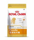 Hình ảnh: Thức ăn cho chó Royal Canin Poodle Junior 1,5kg