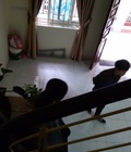 Hình ảnh: Cho thuê nhà 4Tx50m2 mai dịch, cầu giấy, hà nội.