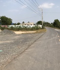 Hình ảnh: Bán đất 100m2 shr , mt đường tỉnh lộ 10 , bình chánh