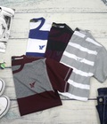 Hình ảnh: Áo Thun Cotton Sale