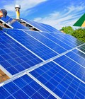 Hình ảnh: Nguồn năng lượng điện mặt trời tại Việt Nam